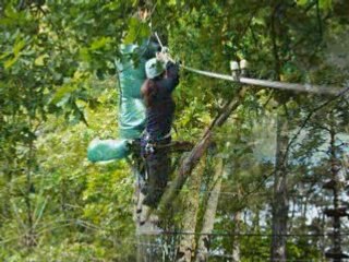 Sortie accrobranche 18052008