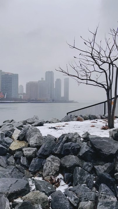 Nelson Wang felt a bit lonely living on Roosevelt Island in the winter. The video was shot on January 21, 2026.