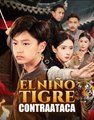 O Menino Tigre Contra-Ataca
