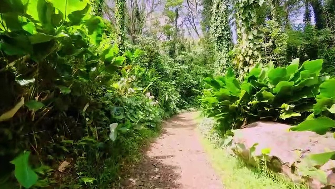 Beautiful Piano Music - Soothing Piano Music For Stress Relief, Calming, Peaceful Relaxation