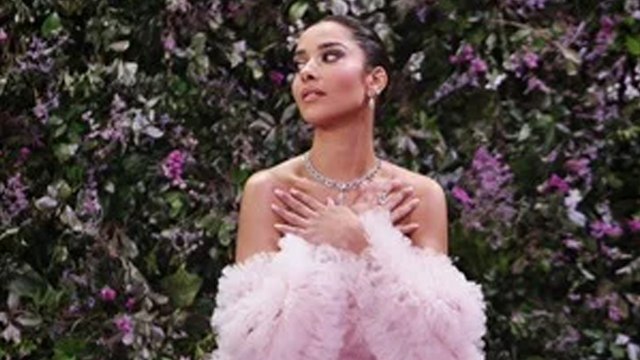 بلقيس فتحي أيقونة عالمية وهذه خطتها في 2026