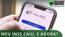 Meu INSS: site e aplicativo ficam fora do ar pelo terceiro dia seguido
