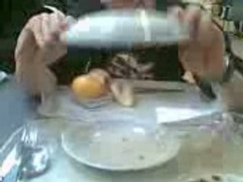 Lentilles de la Cantine