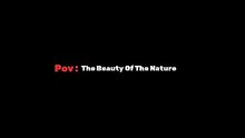 POV _ The Beauty Of The Nature ( Playdate Edit ) Aesthetic Video - Lyrical Aesthetics #shorts #edit