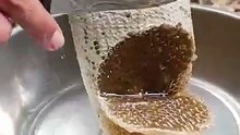 pure fresh honey #honey #shortvideo #nature