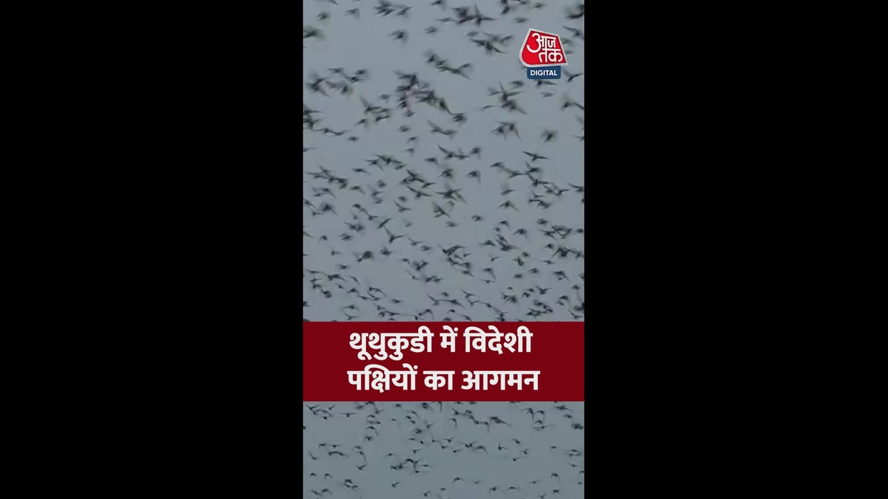 तमिलनाडु के थूथुकुडी में प्रवासी पक्षियों का आगमन; Video