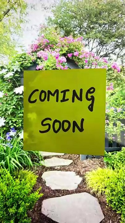 The excitement is getting closer with every count.10 years of CAPAAR _ Best Autism Centre in Bangalore