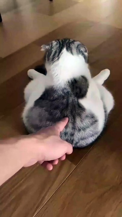 In Japan_ researchers are using smart walkways to turn everyday activities into clean energy 4. These roads are embedded with special piezoelectric material