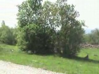 Kızılcaören kasabası