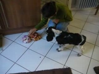 Jack et les oignons !!!