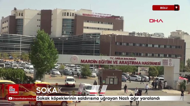 Mardin'de sokak köpeklerinin saldırısına uğrayan Nazlı ağır yaralandı