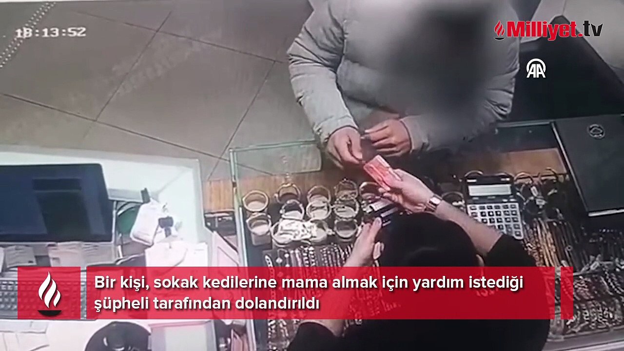Kedilere mama almak istedi, hesabı boşaltıldı! İyi niyeti hayatını karatttı