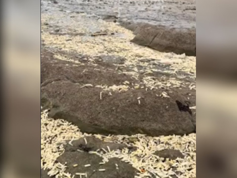 Fritten statt Sand: Strand ist plötzlich voller Pommes und Zwiebeln