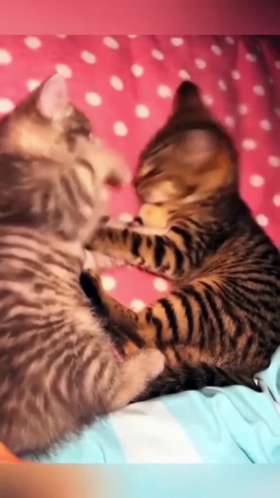 जापान में_ पीजोइलेक्ट्रिक टाइल्स (piezoelectric tiles) का उपयोग करके चलन(