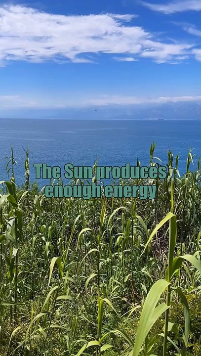 Mind-Blowing Facts That Will Change How You See the World _ Shocking & Educational Facts (1)