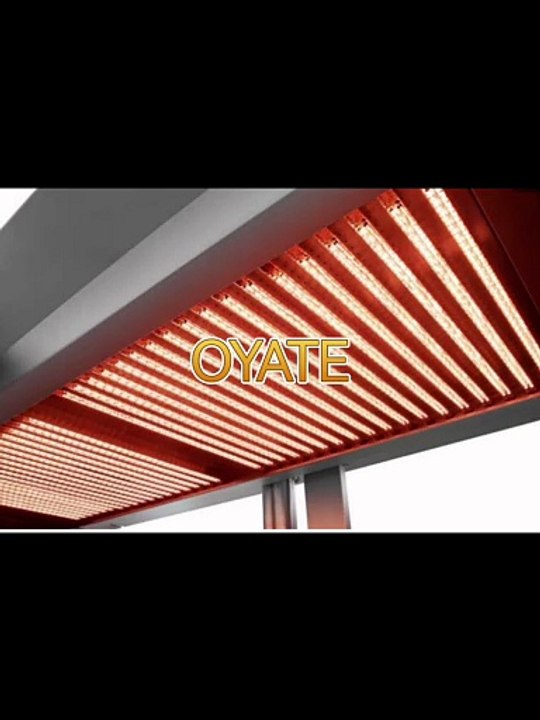 240v 600w shortwave twin tubes heat lamps 1000W Industrial infrared heating lamp