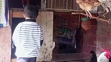 Salar Ahmed in chicken house