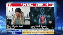 Stres Vücudu Nasıl Etkiliyor? Uzun Süreli Stresin Görünmeyen Zararları