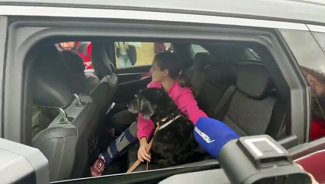 El perro Boro ya está con Ana, su dueña