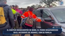 El emotivo reencuentro de Boro, el perro desaparecido en el accidente de Adamuz, con su familia