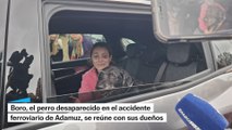 Boro, el perro desaparecido en Adamuz, vuelve con sus dueños