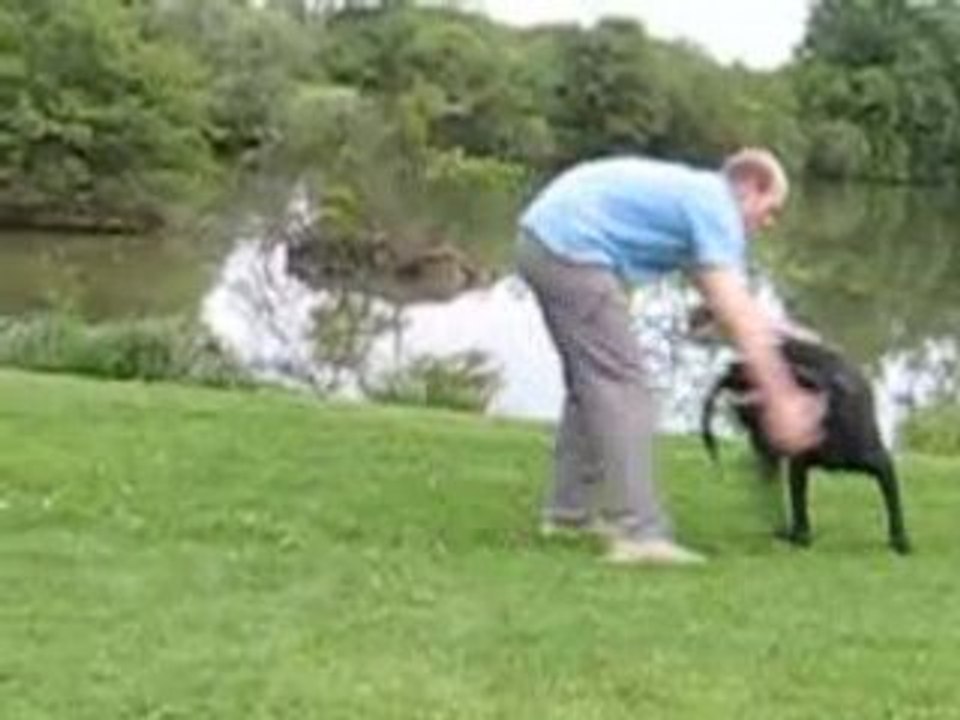 Porto port aux cerises