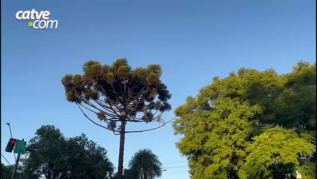 Oeste e Noroeste do Paraná terão máximas acima dos 30°C hoje (22)