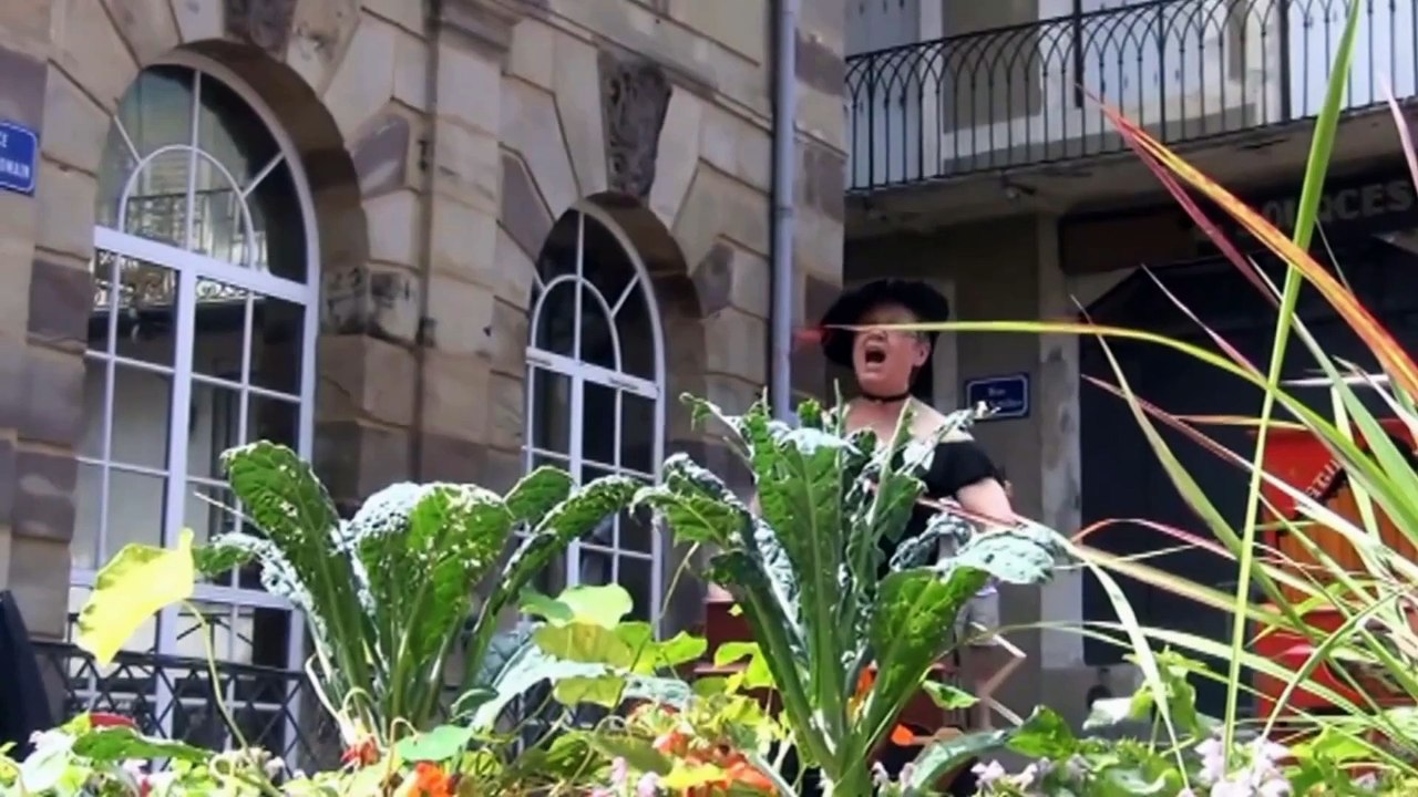 festival d'orgue de plombière les bains