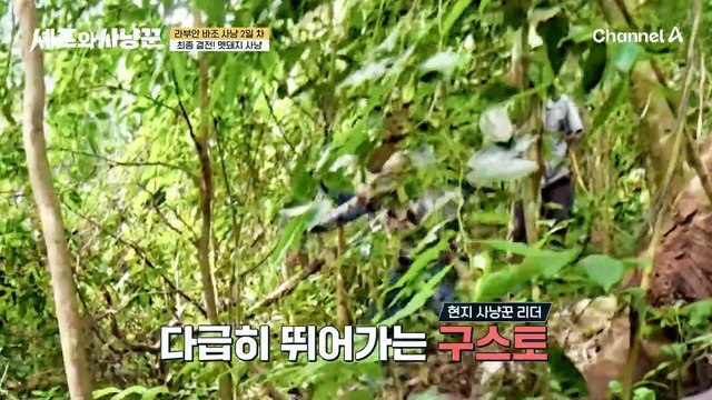 드디어 사냥 성공! 맨손으로 멧돼지 제압한 추성훈?!