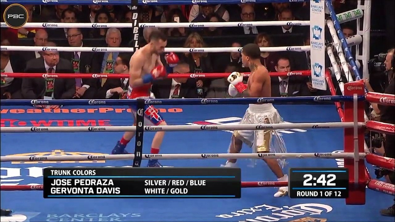 Gervonta Davis Vs José Pedraza Highlights (IBF Title)