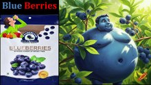 Blueberry Review Flipkart