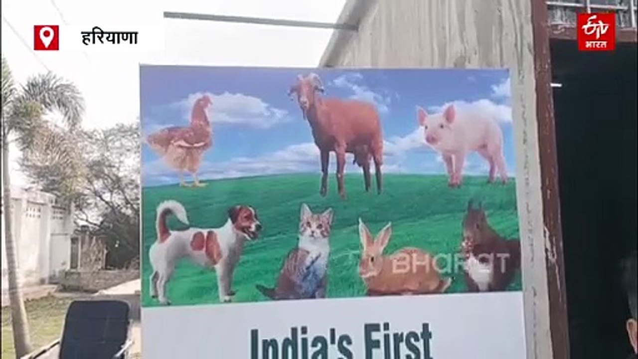 फरीदाबाद में आवारा कुत्तों के लिए शमशान घाट, एक कॉल पर फ्री में होगा दाह-संस्कार, गोबर के उपलों का होगा इस्तेमाल
