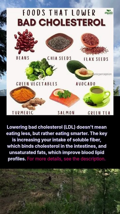 foods that lower bad cholesterol