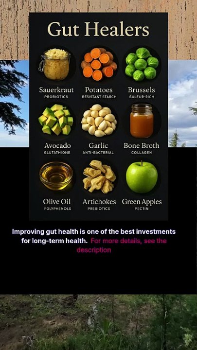Gut Healers