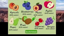 top 16 hydrating fruits