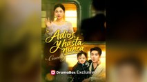 Adiós, Y Hasta Nunca Película Completa Sub Español