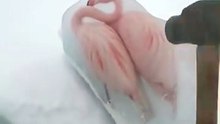 Freeing The Frozen Flamingo in Arctic #arctic  #animal #frozen  #ice #flamingo  #ai #sora2