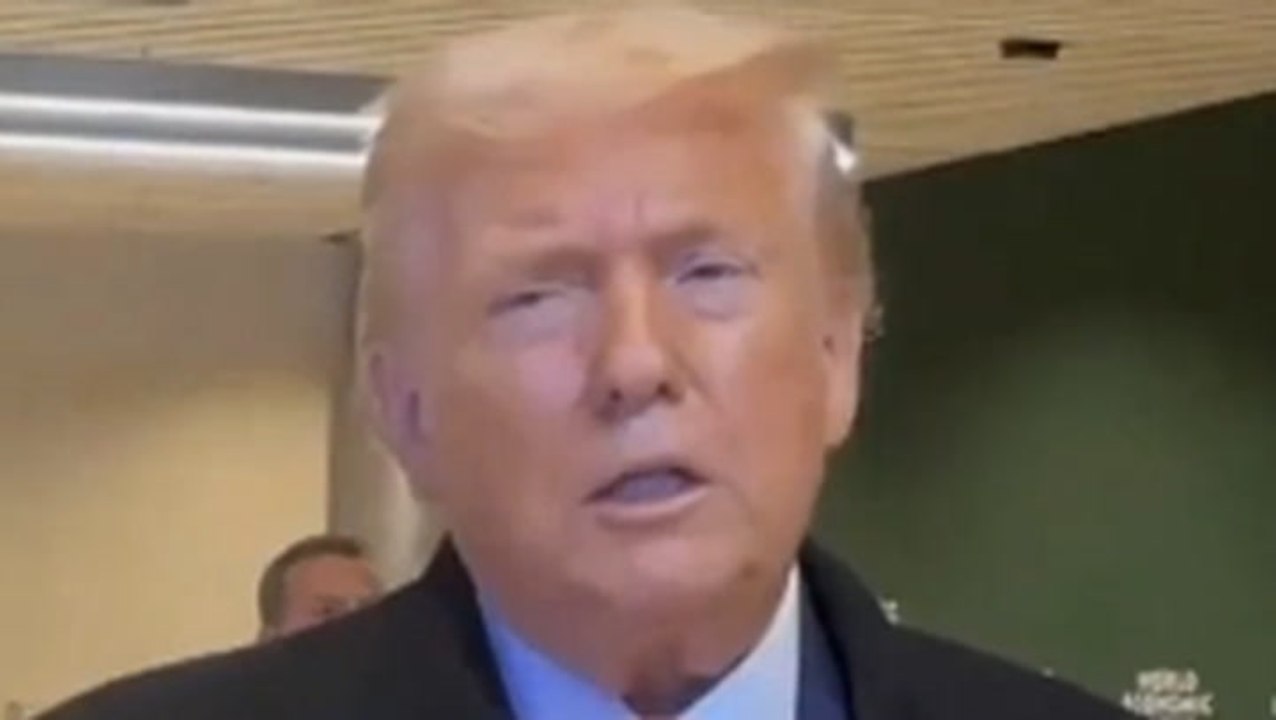 Trump unable to offer any specifics while being questioned on his Greenland ‘deal’