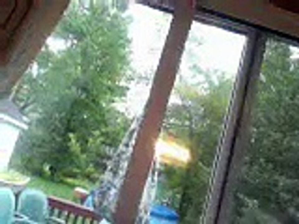 Growing Tobacco Plants part 8