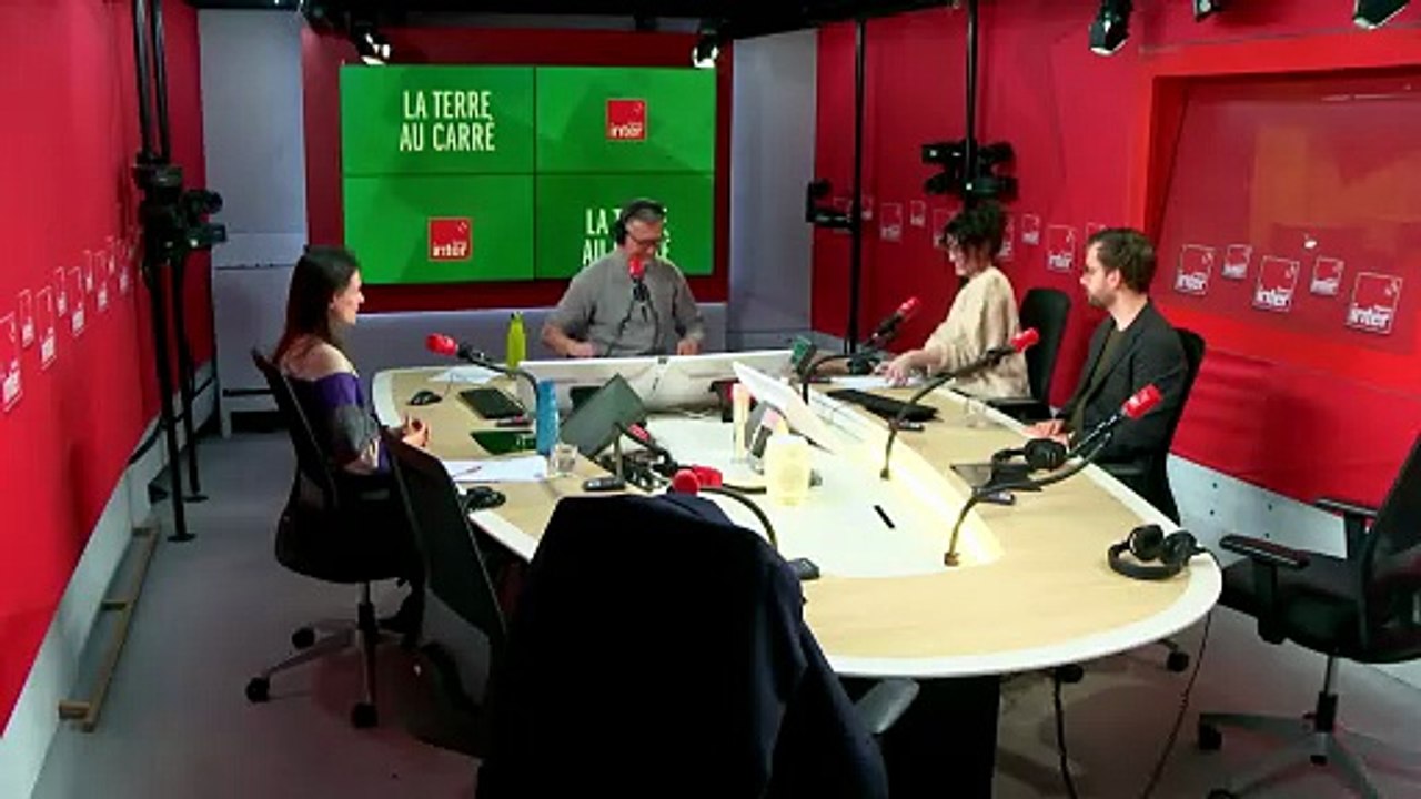 Xénogreffes : où en est-on des transplantations d’organes de l’animal à l’humain ?