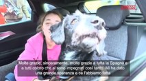 Spagna, ritrovato il cane smarrito dopo il deragliamento di Adamus: l'abbraccio con la sua padrona