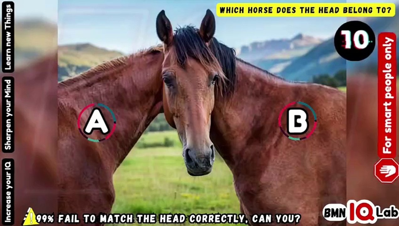 #WrongAgain ❌️😒 Which Horse Does the Head Belong To? 🐎