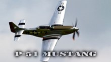 P-51 Mustang ‼️DISPLAY 🤩Florennes