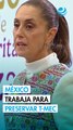 Sheinbaum afirma que México trabajará para preservar el T-MEC tras discurso de Carney