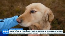 ¡Atención dueños de mascotas en Saltillo!