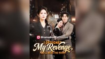 I Designed My Revenge, You'll Wear the Regret Full Chinsese Drama