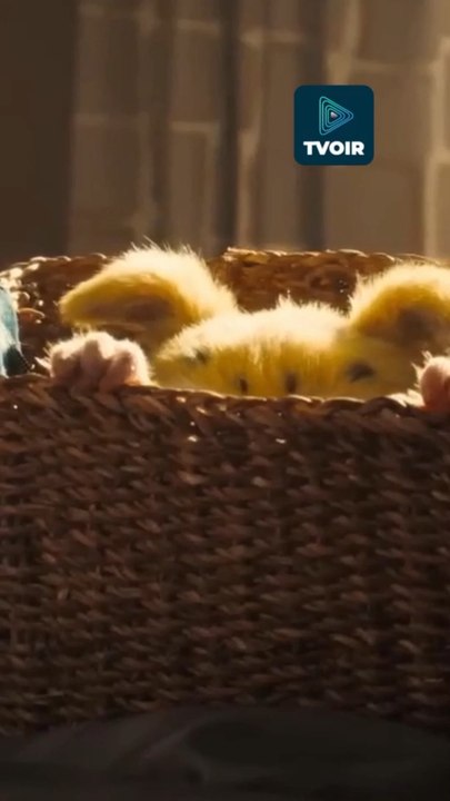 Tout ce qu’il faut savoir sur Marsupilami en 2026 ! 🦘