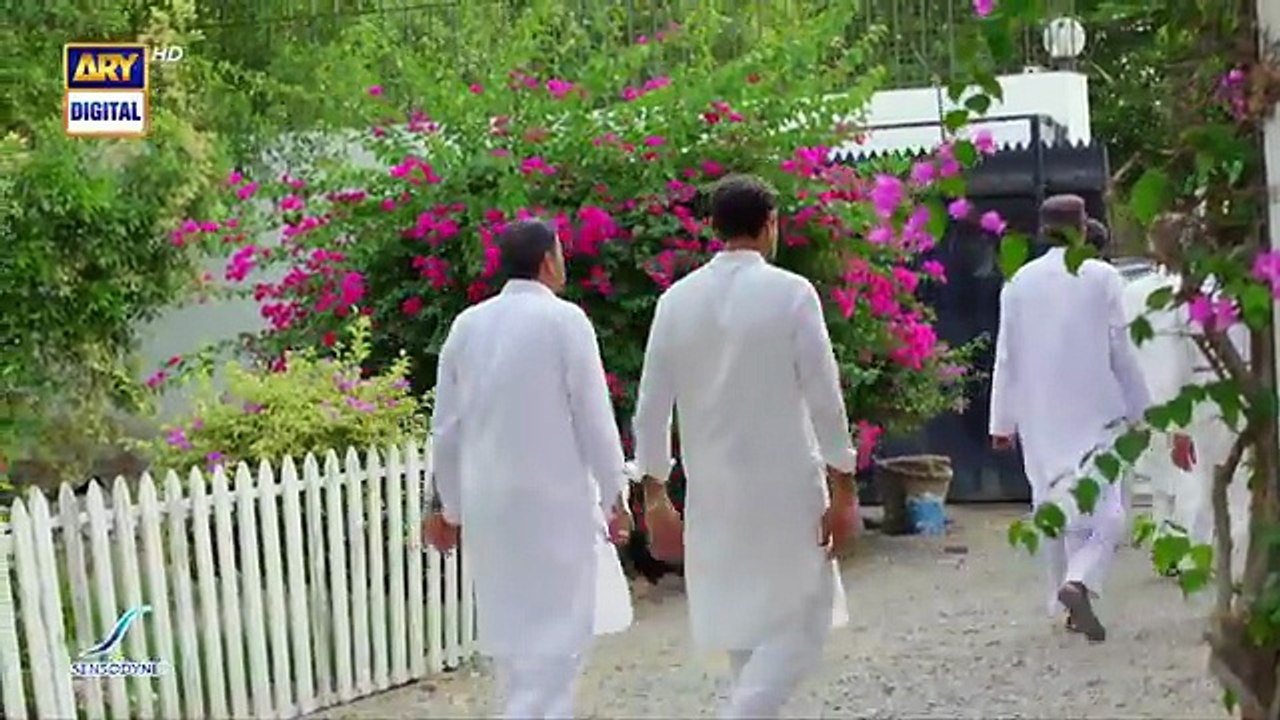 Mere Humsafar epi 30