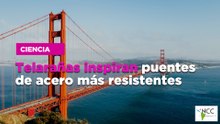 Telarañas inspiran puentes de acero más resistentes