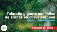 Telaraña gigante con miles de arañas en cueva europea | 832 | 26 de enero al 01 de febrero 2026